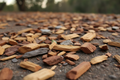 Wood Chips